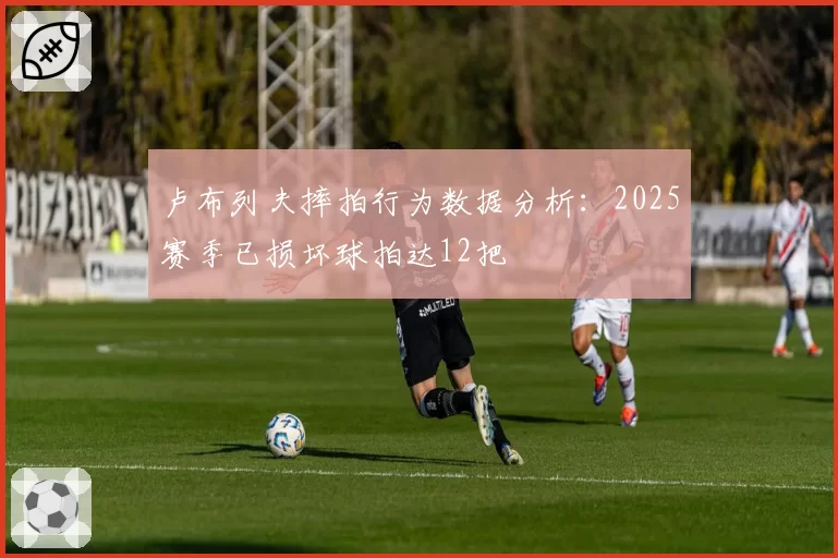 卢布列夫摔拍行为数据分析:2025赛季已损坏球拍达12把