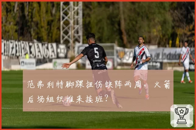 范弗利特脚踝扭伤缺阵两周,火箭后场组织谁来接班?