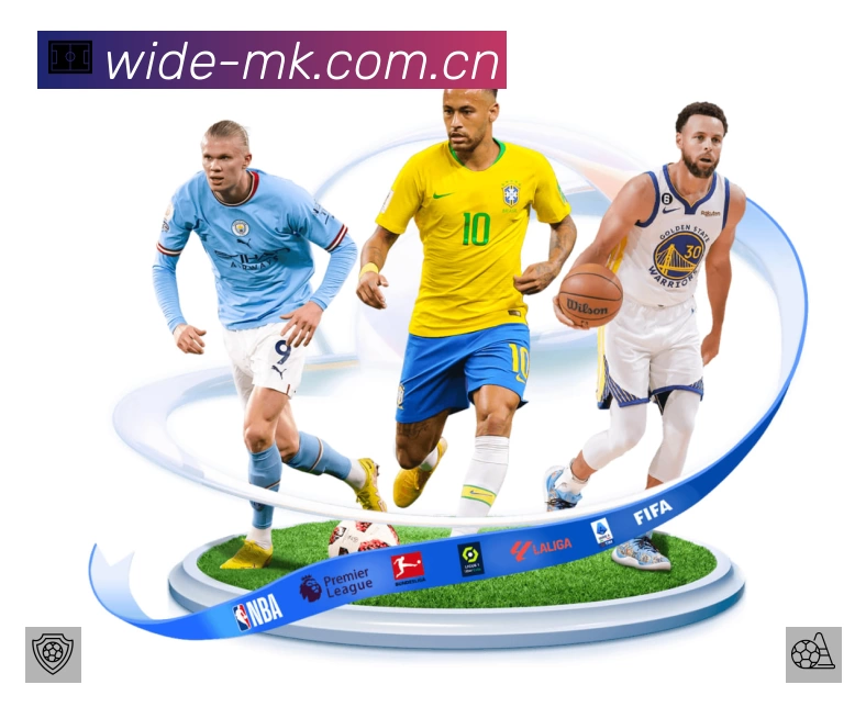 体育平台欢迎图